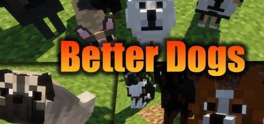 better dogs